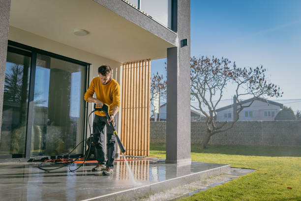 Best Gutter Cleaning  in Durand, MI